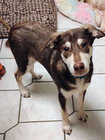 IMG_20250929_200137~2