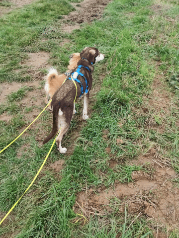 20251023_201314-ANIMATION